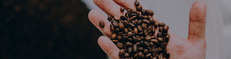 義式咖啡豆